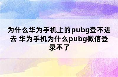 为什么华为手机上的pubg登不进去 华为手机为什么pubg微信登录不了